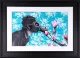 Spring 2020 - Framed
