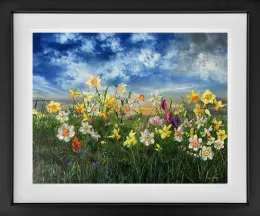 Spring - Limited Edition - Black Framed
