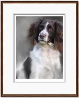Springer Spaniel (40th Anniversary Image) - Dark Wood Framed