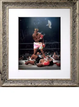 Sting Like A Bee - Lenticular Silver - Silver Framed