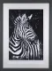 Stripes - Grey Framed