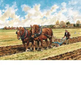 Suffolk Horses Ploughing - Print