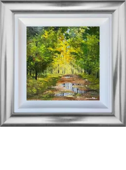 Sunshine After Summer Showers - Original - Framed