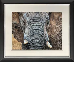 Tembo - Black Framed