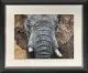 Tembo - Black Framed