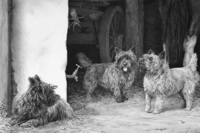 The Barn Patrol - Print