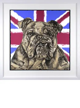 The British Bulldog - White Framed