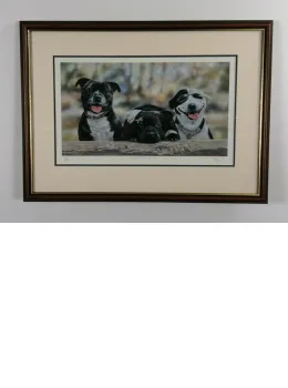 The Good The Bad And The Cool - Brown Framed