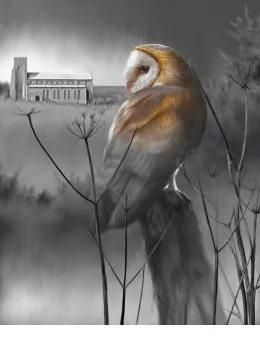 The Owl Of St. Nicholas - Print only