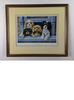 The Royal Box - Brown Framed