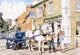 The Sole Bay Inn, Southwold - Sam, The Adnams Dray Horse - Dark Wood Framed