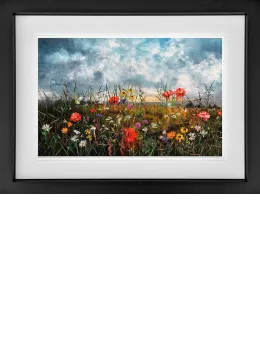 The Storm Has Passed - Limited Edition - Black Framed