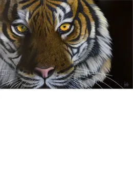 Tiger Eyes - Mounted
