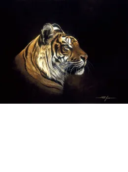 Tiger Profile - Mounted
