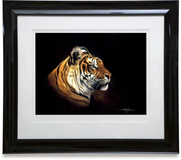 Tiger Profile 