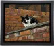 Towny Tom - Framed Box Canvas