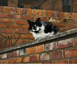 Towny Tom - Mounted