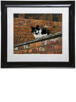 Towny Tom - Paper - Framed