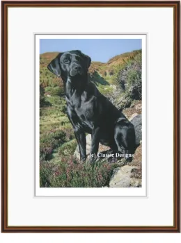 Tribute To Moses - Dark Wood Framed
