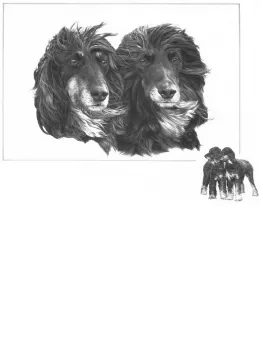 Two Of A Kind - Print