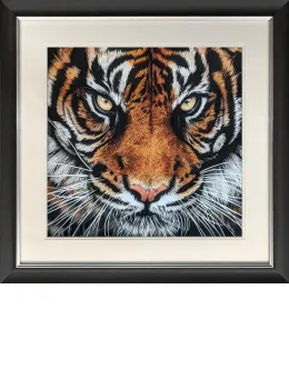 Untamed - Black Framed