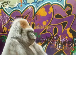 Urban Gorilla - Paper - Black Framed