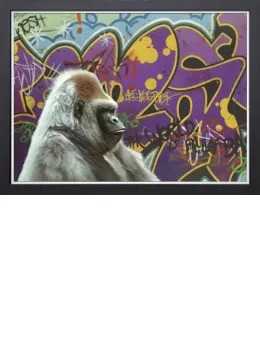 Urban Gorilla - Super Deluxe - Black Framed - Framed Box Canvas
