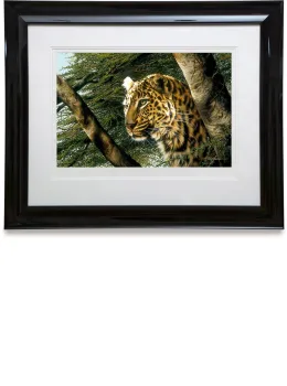 Vantage Point - Paper - Framed