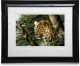 Vantage Point - Paper - Framed