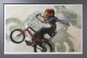 Viva Kidnievel - Canvas - Grey Framed