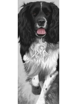 Walk Tall - Springer Spaniel - Dark Wood Framed