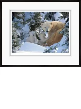 Warmth Of Nature - Black Framed