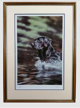 Watch Splash - Brown Framed