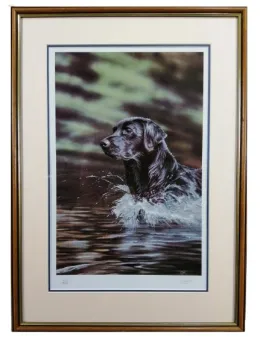 Watch Splash - Brown Framed