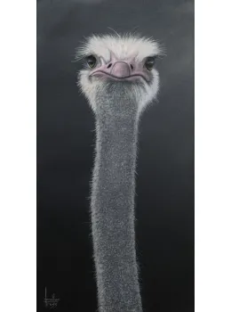 We Are Not Amused - Paper - Mounted