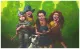 We're Off To See The Wizard (Wizard of Oz) - Mounted