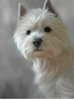 West Highland Terrier (40th Anniversary Image) - Print only
