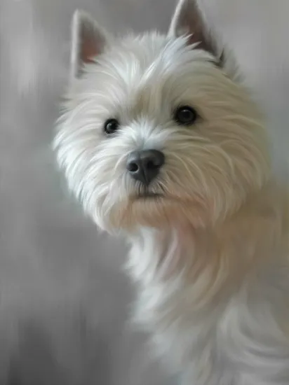 West Highland Terrier (40th Anniversary Image) West Highland Terrier (40th Anniversary Image)