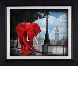 Westminster Wanderer - Black Framed