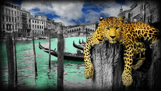 Hanging In Venice