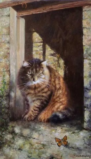 Whisky The Farmyard Cat