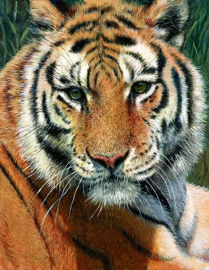 Wild Thing