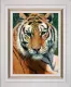 Wild Thing - White Framed