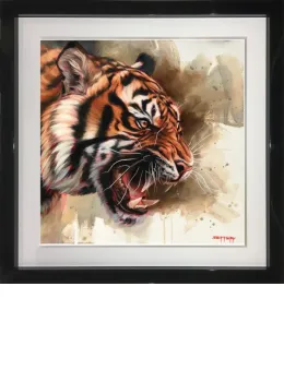 Wildcat - Original - Black Framed