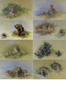 Wildlife Of The World Portfolio (Set Of 8) - Print