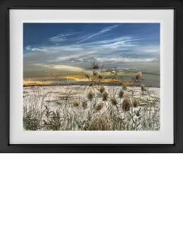 Winter - Limited Edition - Black Framed