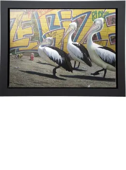 Wize Gize - Deluxe Canvas - Framed - Framed Box Canvas