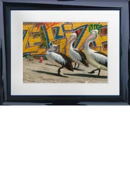 Wize Gize - Framed