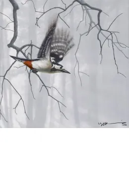 Taking Flight - Woodpecker - Original - Framed