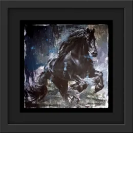 Zorro - Black Framed